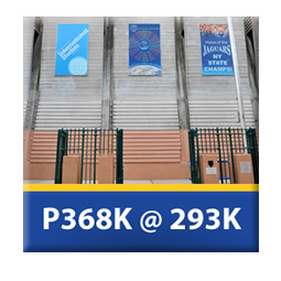 293